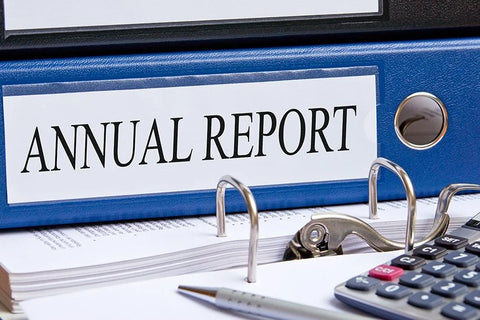 Annual Report Service Fee As Agent